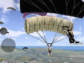 娱乐吃瓜酱跳伞,惊险跳伞体验大揭秘