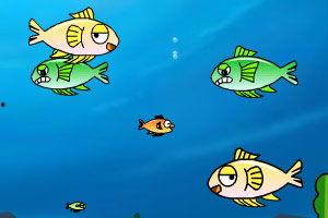 小鱼吃瓜娱乐,揭秘娱乐圈幕后故事，带你领略明星们的真实生活