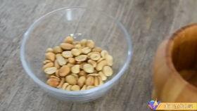 仙人球吃瓜娱乐,瓜果乐园的奇幻之旅