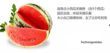 娱乐吃瓜封面怎么做,揭秘明星幕后故事，带你走进娱乐圈风云变幻